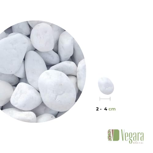 Vegara Stone Piedra Jardín Decoración Canto Rodado Blanco Puro 2-4 cm (3)