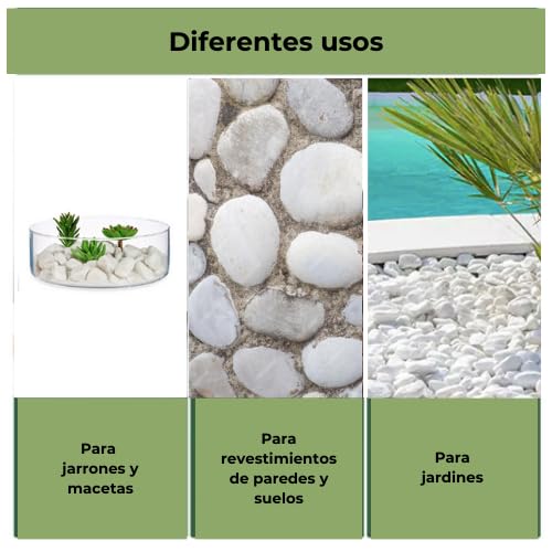 Vegara Stone Piedra Jardín Decoración Canto Rodado Blanco Puro 2-4 cm (3)