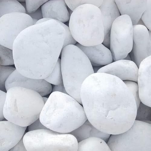 Vegara Stone Piedra Jardín Decoración Canto Rodado Blanco Puro 2-4 cm (3)