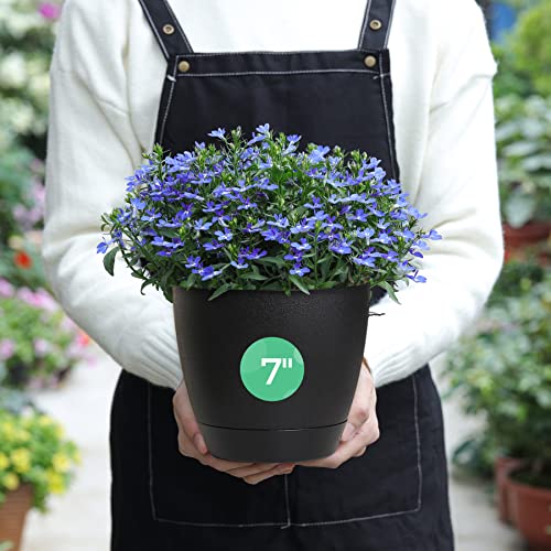 T4u 13/14/15/16.5/18CM macetas de Auto-riego, macetas de Auto-riego con indicador de Nivel de Agua, macetas de Interior al Aire Libre, macetas de para Las Plantas de la casa de Flores de Hierbas