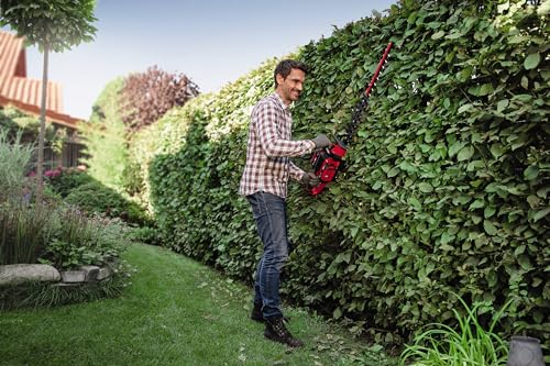 Einhell Cortasetos con batería GE-CH 36/65 Li-Solo Power X-Change (36 V, 65 cm de longitud de corte, 30 mm distancia entre dientes, mango giratorio, colector de recortes, sín batería)