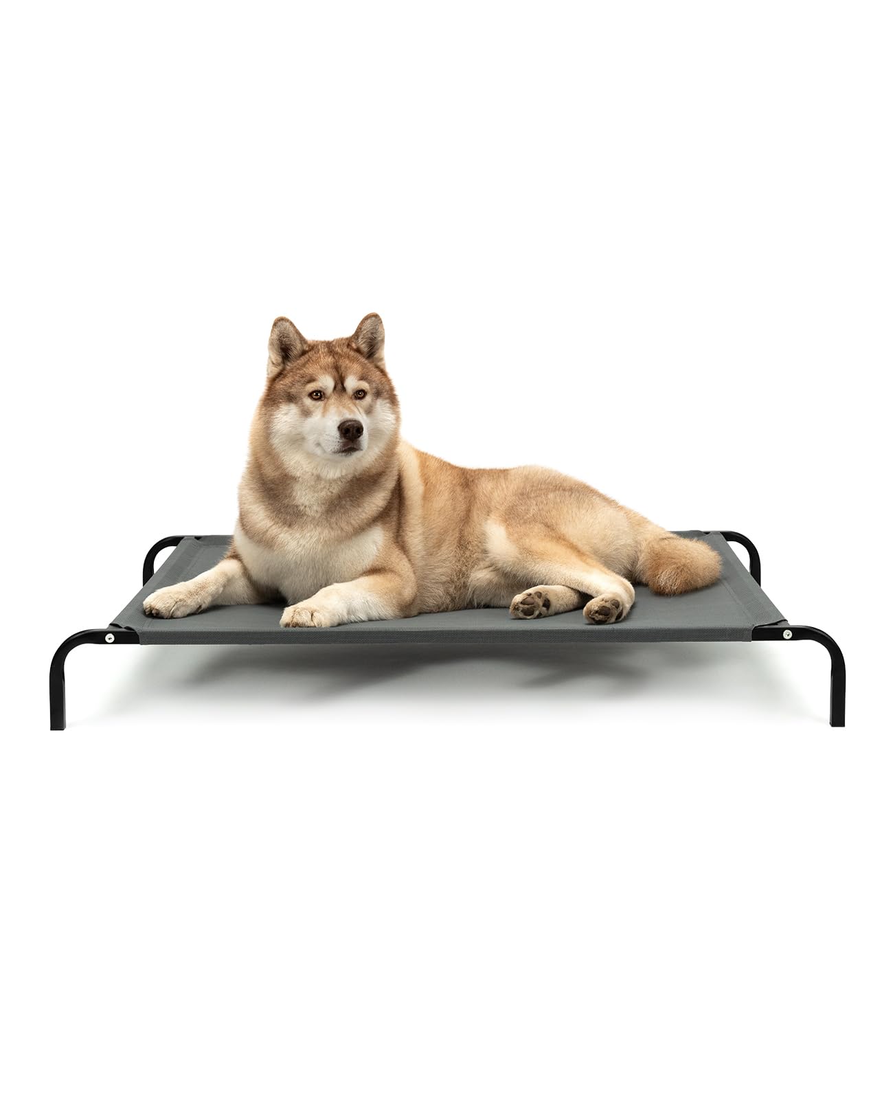 lionto Cama elevada para Perros Tejido en Textilene, (XL) 117x85 cm Gris