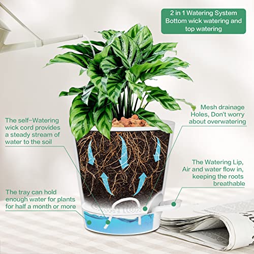 Warmplus Macetas de Riego Automático para Interior, 20/17.5/16.5/15/14/12.5cm Macetas de Plástico con Agujeros de Drenaje Plato y Depósito, Macetas de Interior para Todas Las Plantas de Casa, Blanco