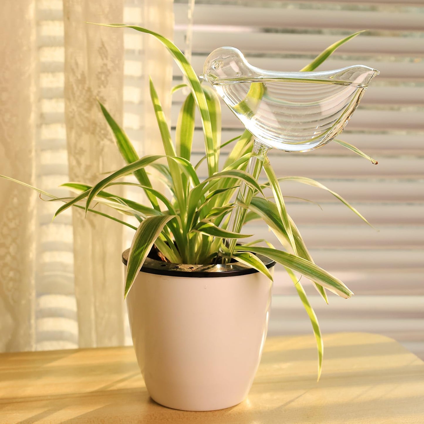 REUUY KiKiHome - Goteros de agua para plantas, bombillas de vidrio para plantas, globos de riego automático para plantas, dispositivo de riego automático para plantas de interior y exterior, 2 pájaros
