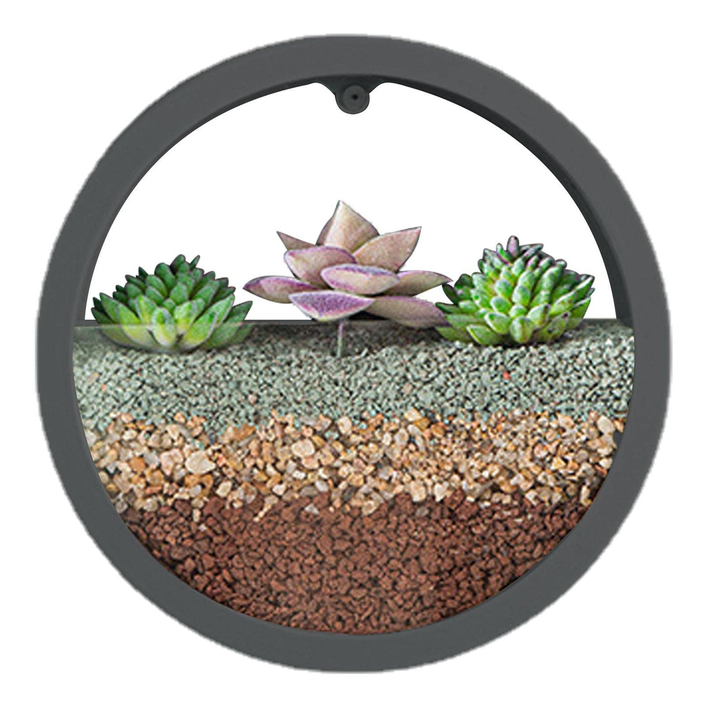 Stalf Macetero para colgar en la pared, jardineras colgantes, pared modernas, macetas montaje en pared para plantas interior al aire libre, decoración pared para el hogar