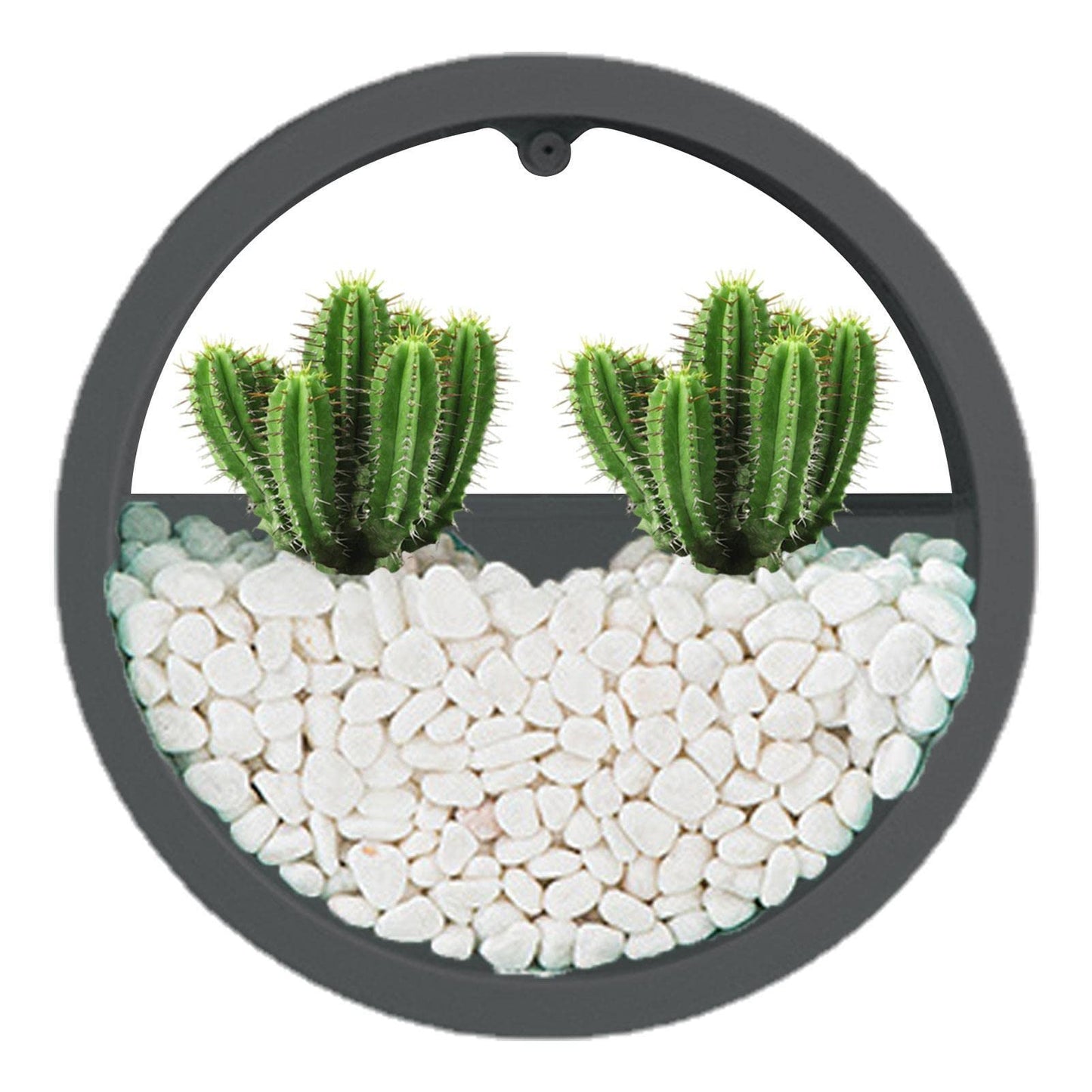 Stalf Macetero para colgar en la pared, jardineras colgantes, pared modernas, macetas montaje en pared para plantas interior al aire libre, decoración pared para el hogar