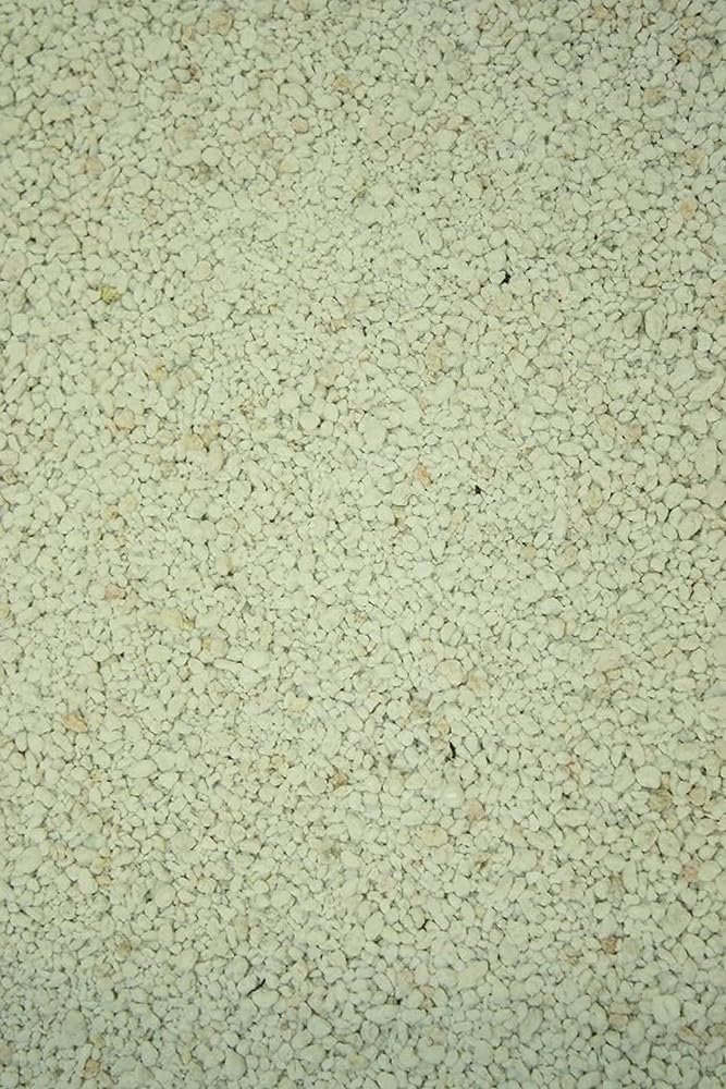 Semillas Batlle - Sustrato Perlita 5 L, Color Blanco y turquesa