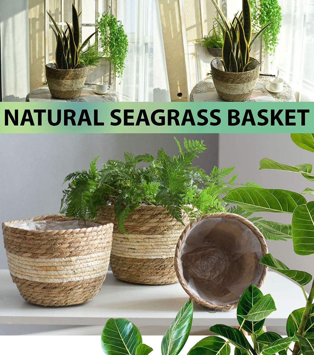 KAHEIGN 3 Piezas Pastos Marinos Cesta De Macetero, 3 Tamaño Tejido Maceta Bajo Techo Exteriores - Macetas Cubrir Cesta De Almacenamiento Contenedores De Plantas para La Decoración del Hogar (Beige)