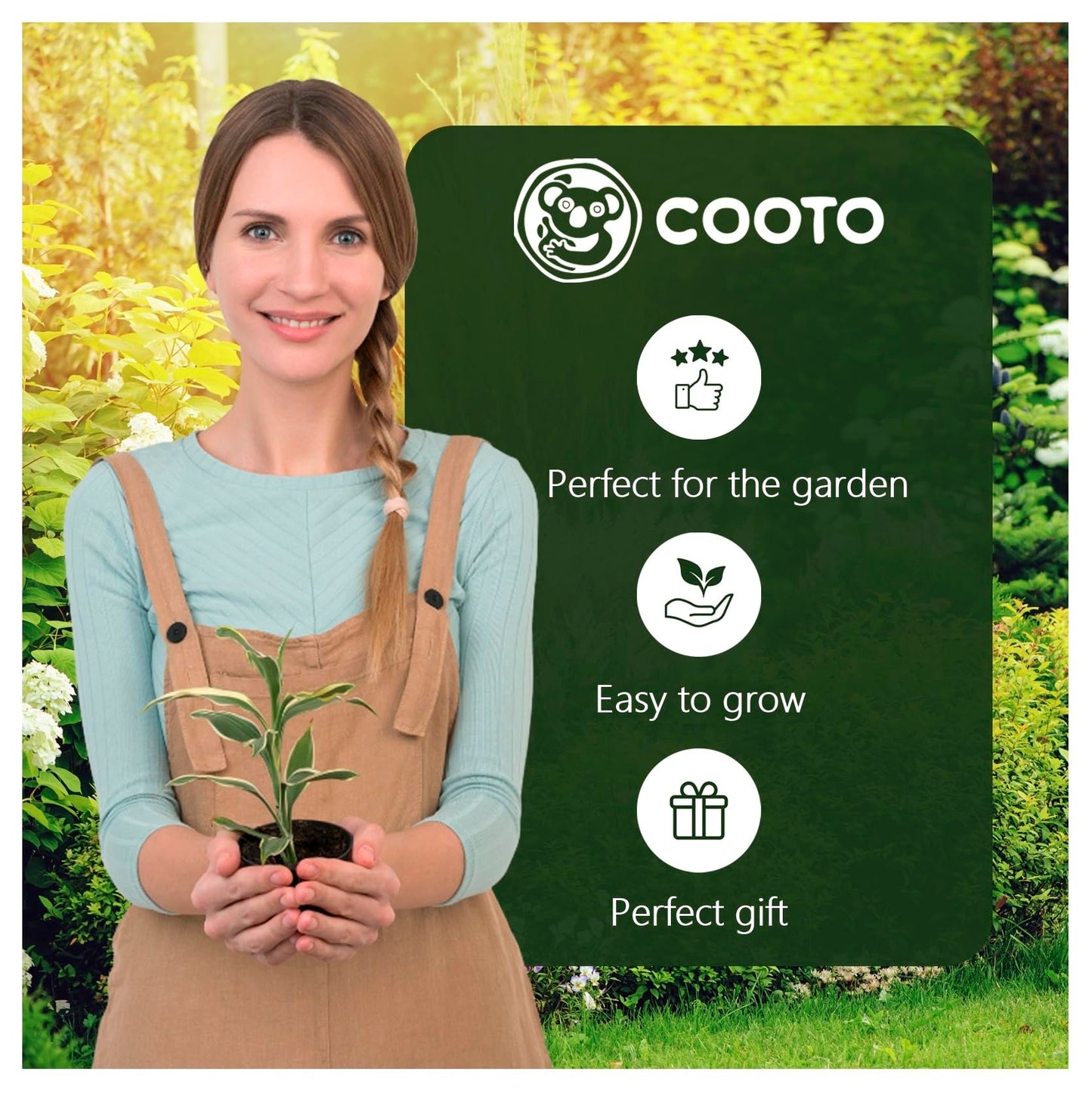 1x Bulbo lirio Plantas naturales exterior Lirios bulbos Flores para jardin naturales Planta perenne Friso