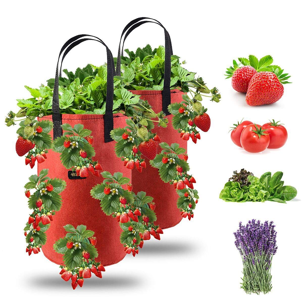 Ulikey 2Pcs Bolsas de Cultivo de Fresa, 3 Gallones Bolsa para Plantas Fresas Bolsa de Macetas Colgantes con Asas No Tejidos Transpirables con 13 Agujeros para Papas, Tomates y Fresas (2pcs - Rojo)