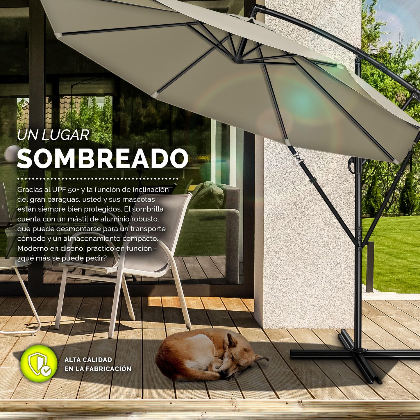 tillvex 300 cm Sombrilla Excentrico con Manivela, Funda y Protectora de cabrestante | Parasol para Terraza Jardín Balcón Patio | Giratorio 360º, Protección UV