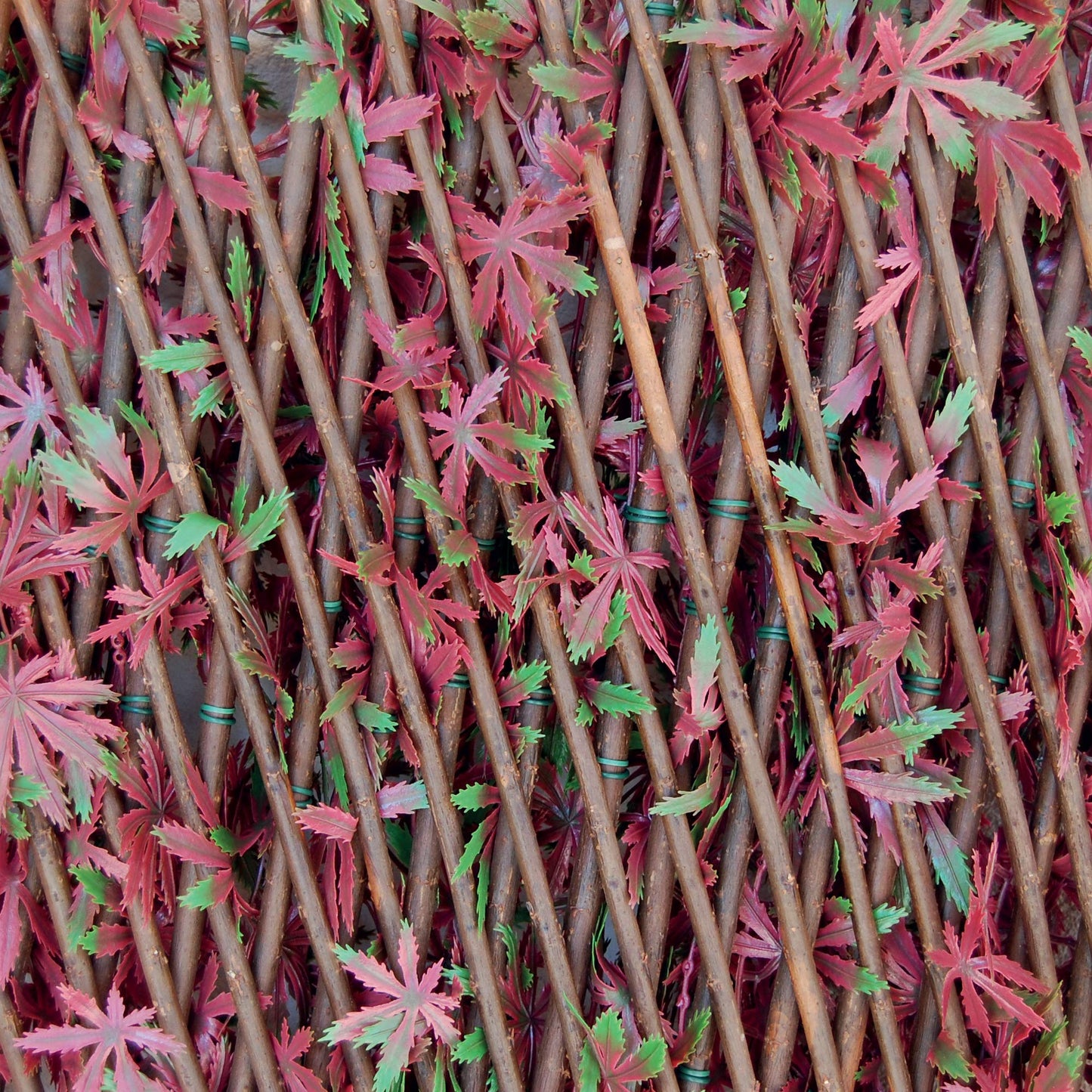 TENAX Divy 3D X-Tens Red Acer 1,00x2 m Verde-Rojo, Enrejado Extensible de Madera Natural Recubierto con Hojas de Arce Rojo, Occultación para Balcones y Terrazas, Decoración de Paredes