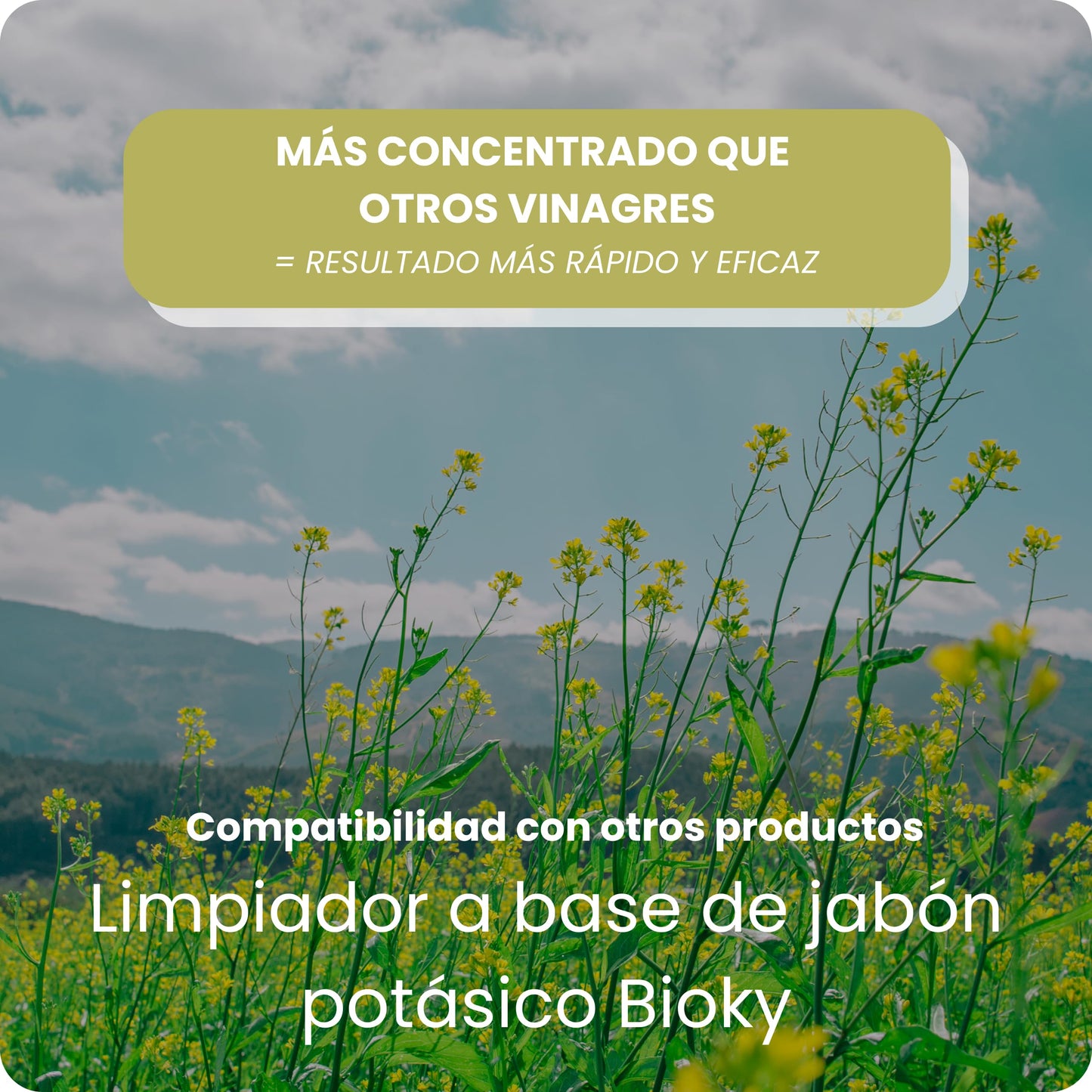 Bioky® Vinagre Concentrado al 20% - 1L – Origen Natural de Alcohol de Cereal – Sin Residuo - Acción Limpiador Profundo - Elimina Moho y Hongos (1L)