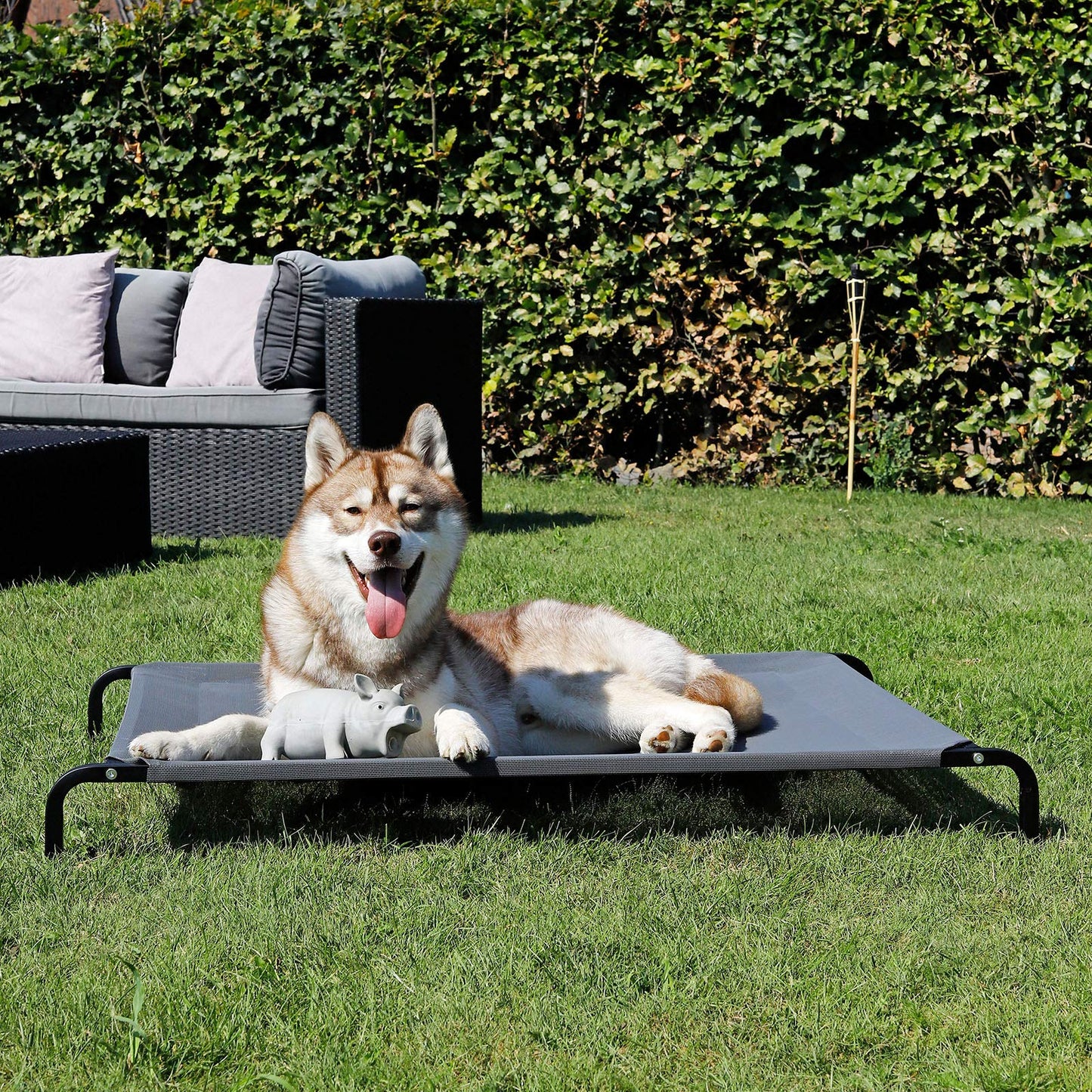 lionto Cama elevada para Perros Tejido en Textilene, (XL) 117x85 cm Gris
