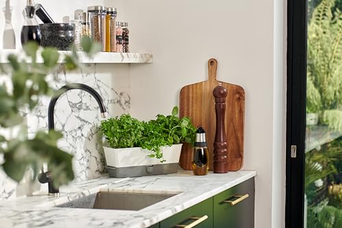 Cole & Mason H105349 Burwell Conservador para Hierbas Aromaticas en Macetas, Blanco/Gris, Cultivo de Plantas Hierbas de Interior, Acero Inoxidable, Triple, para 3 macetas