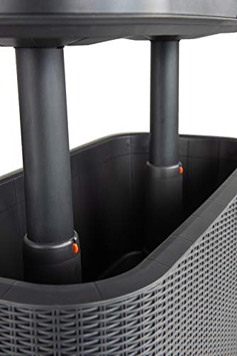 Keter Bevy Bar - Mesa Nevera para Exterior y Jardín, Capacidad 60L, Color Grafito