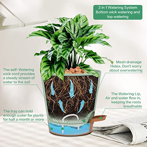 Warmplus Macetas de Riego Automático para Interior, 20/17.5/16.5/15/14/12.5cm Macetas de Plástico con Agujeros de Drenaje Plato y Depósito, Macetas de Interior para Todas Las Plantas de Casa, Verde