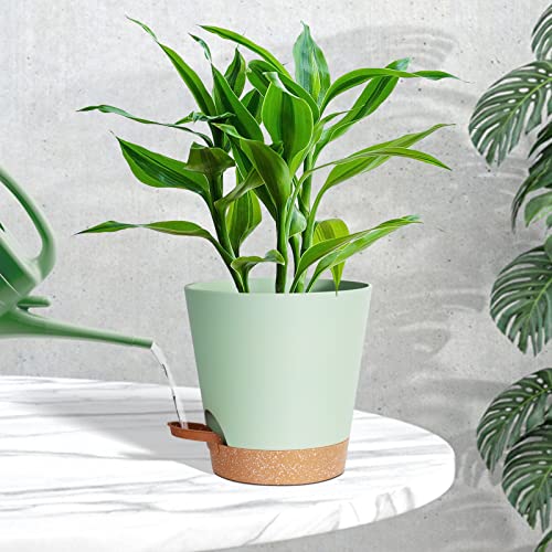 Warmplus Macetas de Riego Automático para Interior, 20/17.5/16.5/15/14/12.5cm Macetas de Plástico con Agujeros de Drenaje Plato y Depósito, Macetas de Interior para Todas Las Plantas de Casa, Verde