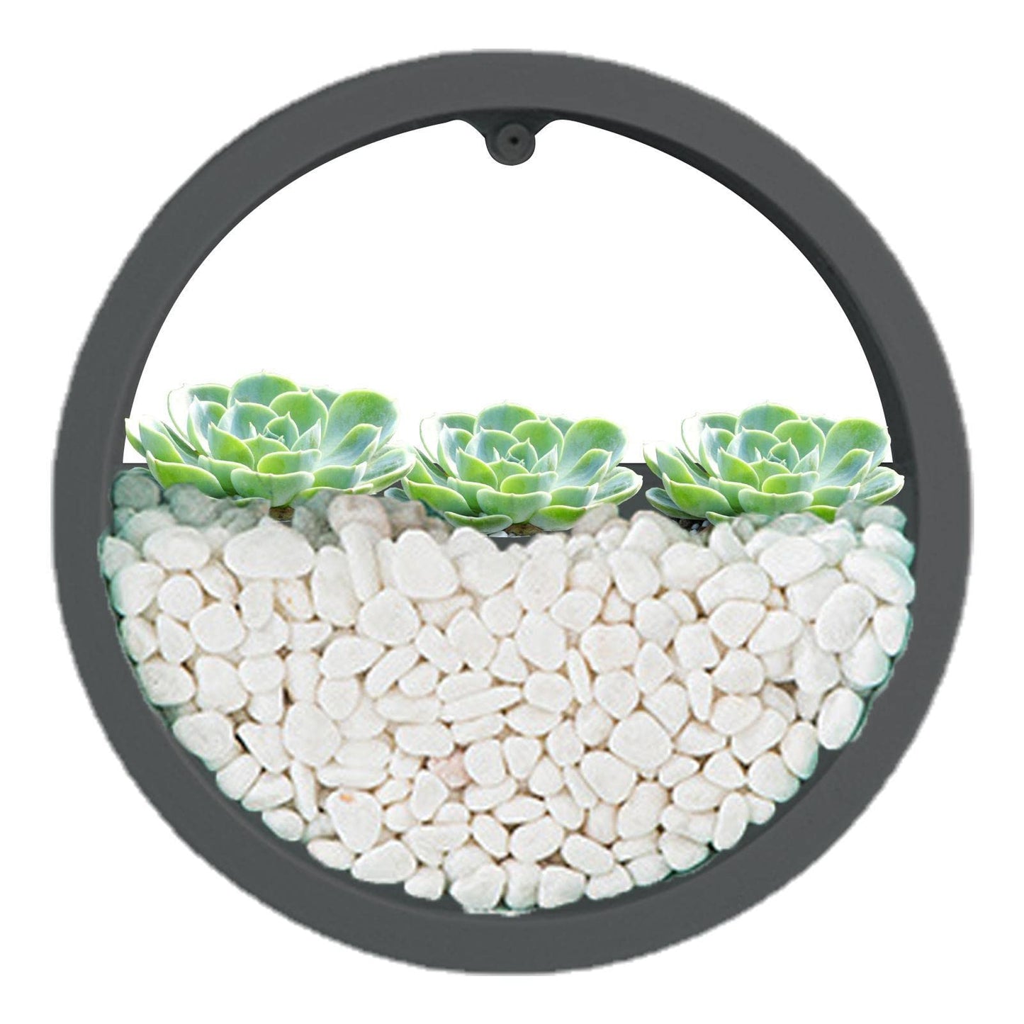 Stalf Macetero para colgar en la pared, jardineras colgantes, pared modernas, macetas montaje en pared para plantas interior al aire libre, decoración pared para el hogar