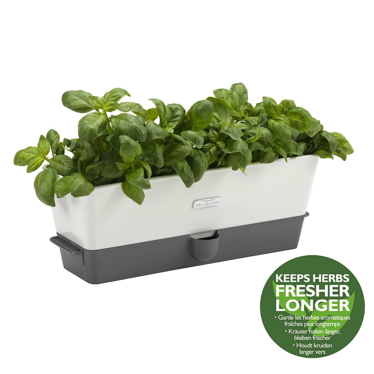 Cole & Mason H105349 Burwell Conservador para Hierbas Aromaticas en Macetas, Blanco/Gris, Cultivo de Plantas Hierbas de Interior, Acero Inoxidable, Triple, para 3 macetas