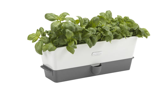 Cole & Mason H105349 Burwell Conservador para Hierbas Aromaticas en Macetas, Blanco/Gris, Cultivo de Plantas Hierbas de Interior, Acero Inoxidable, Triple, para 3 macetas