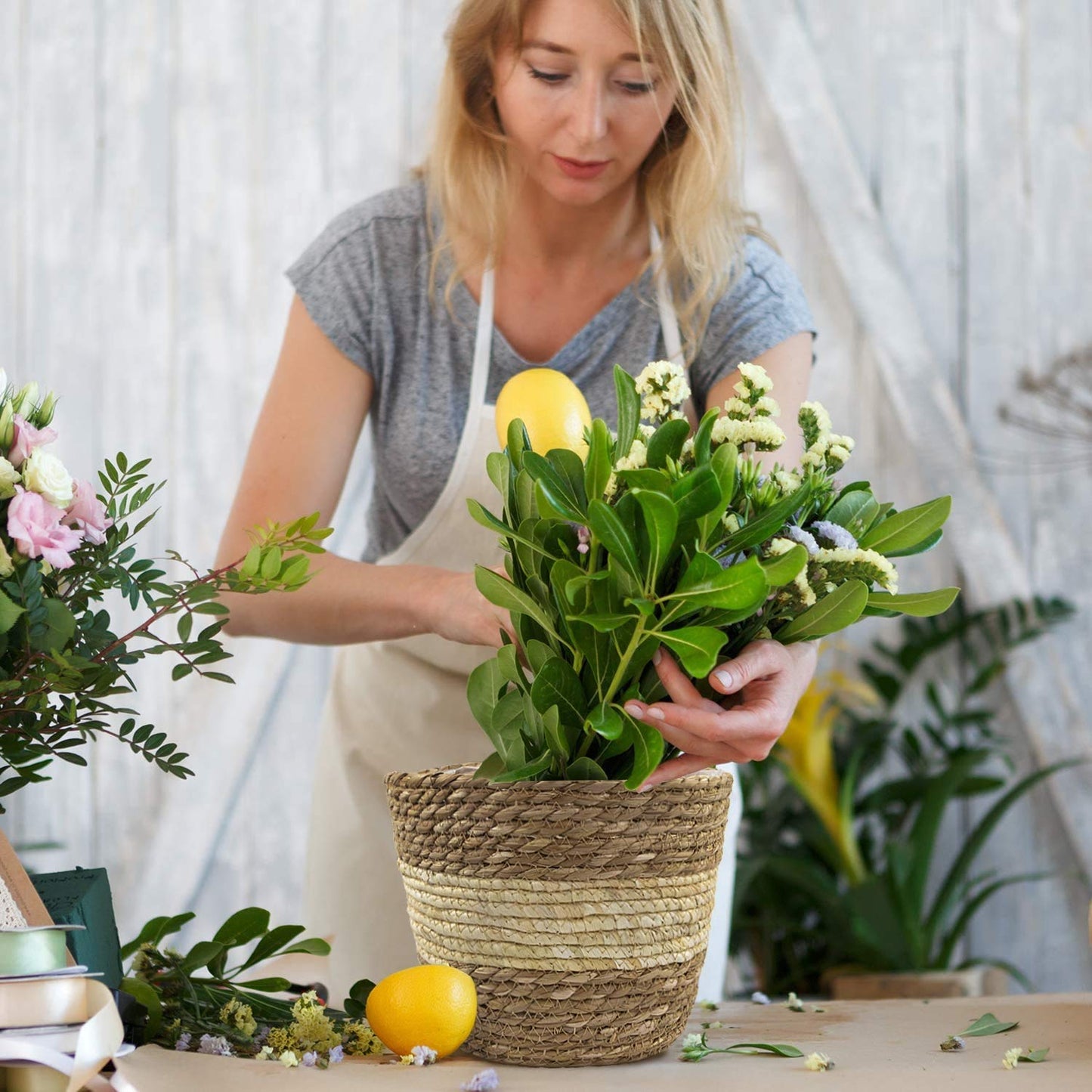 KAHEIGN 3 Piezas Pastos Marinos Cesta De Macetero, 3 Tamaño Tejido Maceta Bajo Techo Exteriores - Macetas Cubrir Cesta De Almacenamiento Contenedores De Plantas para La Decoración del Hogar (Beige)