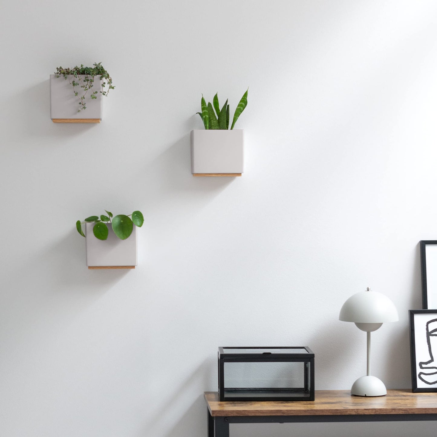 Kazai. Jardineras de Pared -Alma- | 3 Macetas Colgantes Modernas de Resina | Set de Porta Plantas para Plantas de Interior, Plantas Artificiales y más | Gris