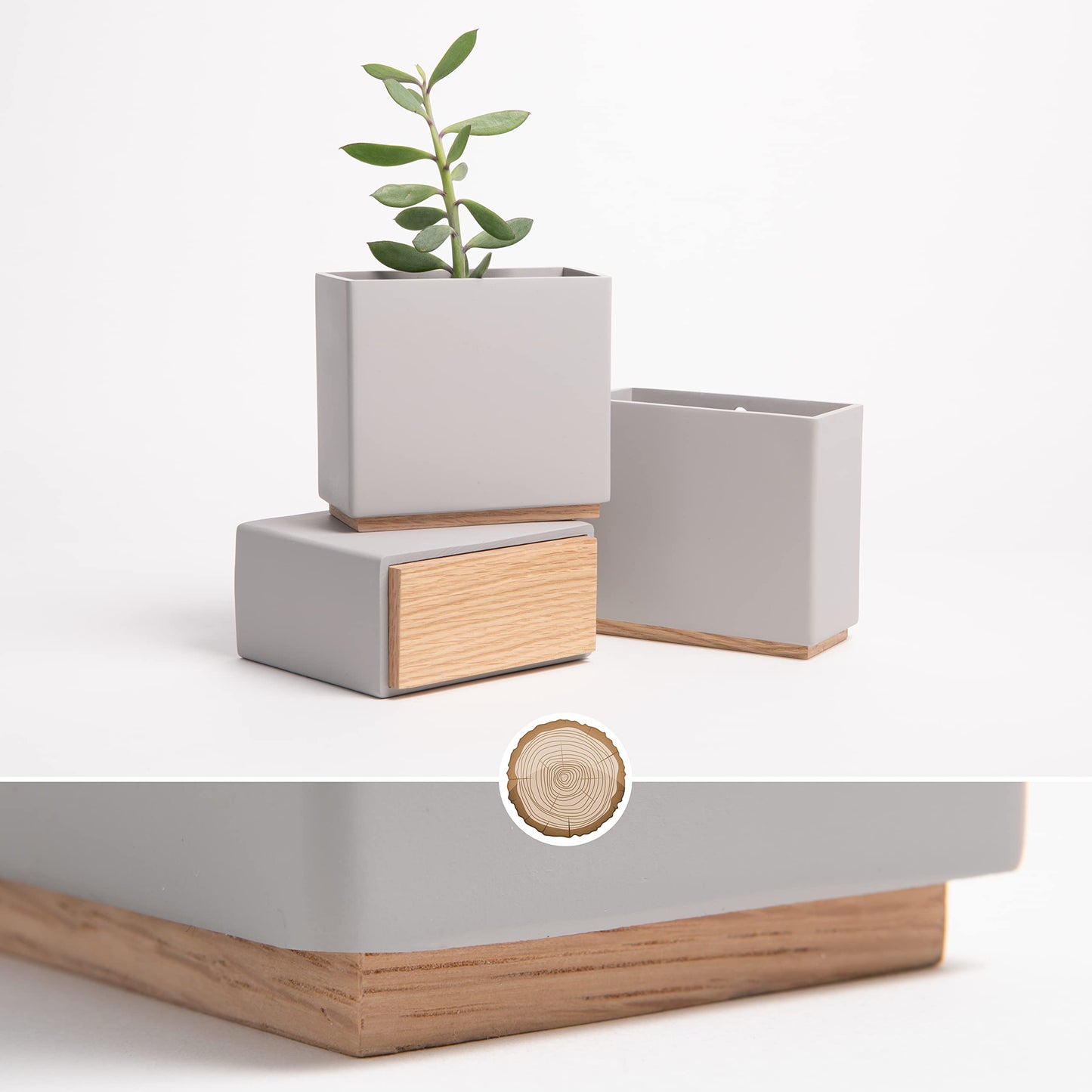 Kazai. Jardineras de Pared -Alma- | 3 Macetas Colgantes Modernas de Resina | Set de Porta Plantas para Plantas de Interior, Plantas Artificiales y más | Gris