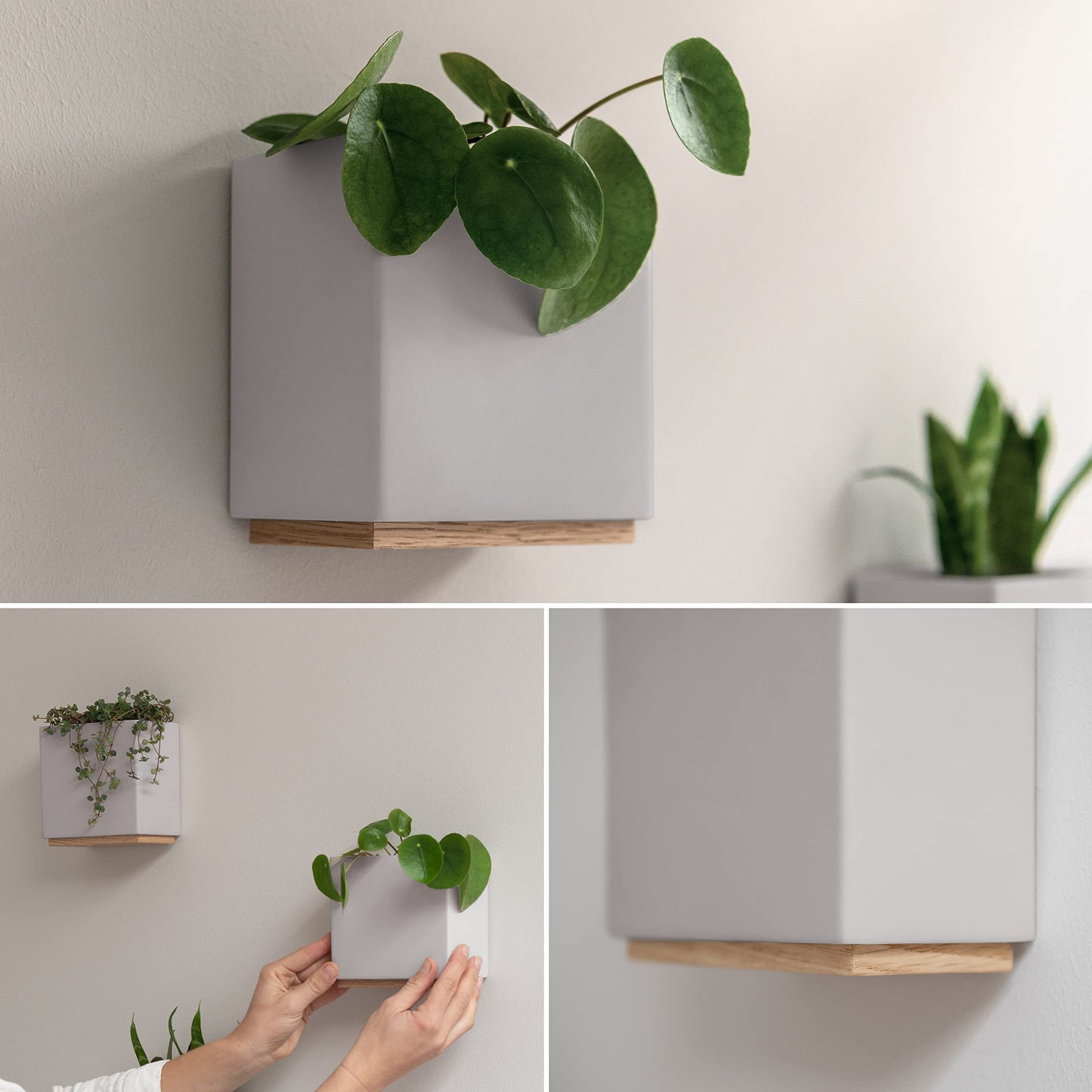Kazai. Jardineras de Pared -Alma- | 3 Macetas Colgantes Modernas de Resina | Set de Porta Plantas para Plantas de Interior, Plantas Artificiales y más | Gris