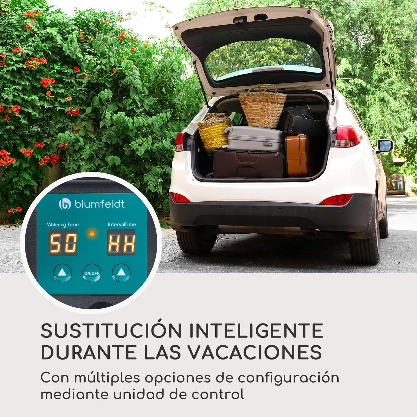 blumfeldt Greenkeeper Solar Sistema de riego - Riego automático, hasta 40 Plantas de Maceta y de jardín, Panel Solar, Unidad de Control programable, Mangeras, Acopladores, Filtro de partículas, Negro