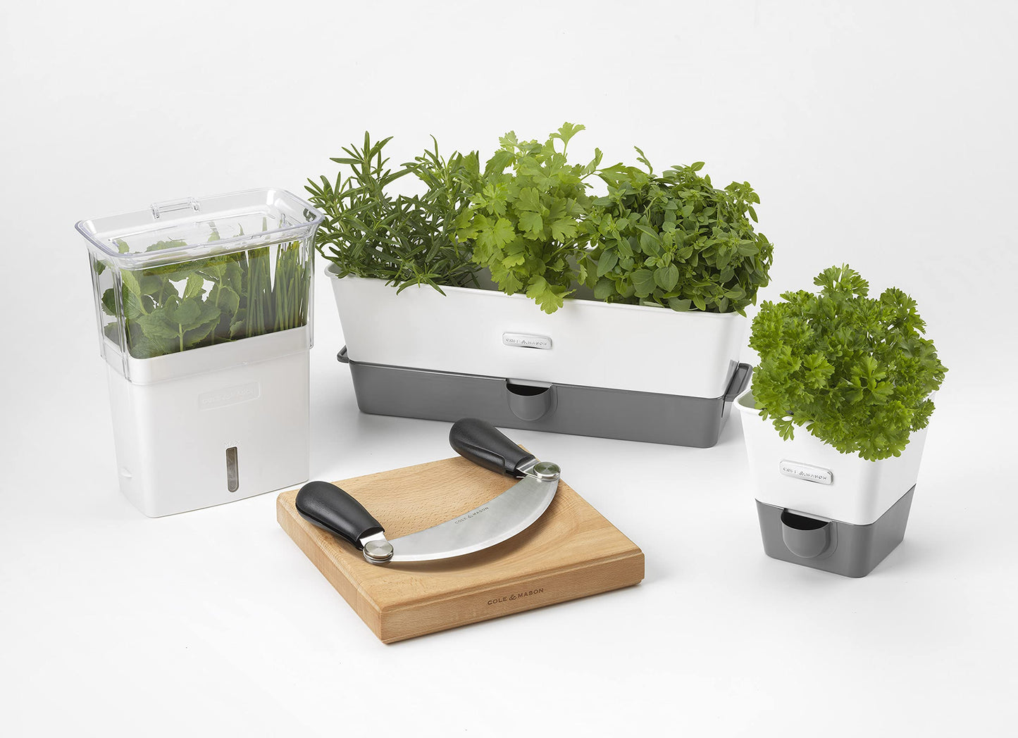 Cole & Mason H105349 Burwell Conservador para Hierbas Aromaticas en Macetas, Blanco/Gris, Cultivo de Plantas Hierbas de Interior, Acero Inoxidable, Triple, para 3 macetas