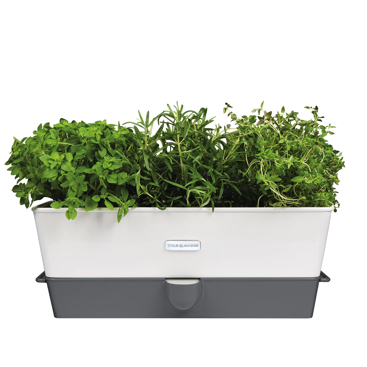 Cole & Mason H105349 Burwell Conservador para Hierbas Aromaticas en Macetas, Blanco/Gris, Cultivo de Plantas Hierbas de Interior, Acero Inoxidable, Triple, para 3 macetas