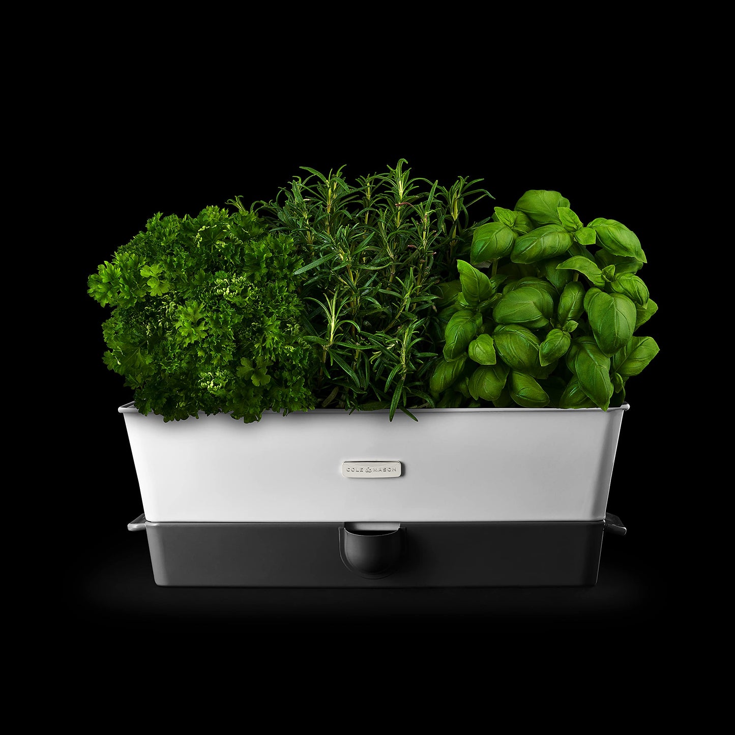 Cole & Mason H105349 Burwell Conservador para Hierbas Aromaticas en Macetas, Blanco/Gris, Cultivo de Plantas Hierbas de Interior, Acero Inoxidable, Triple, para 3 macetas