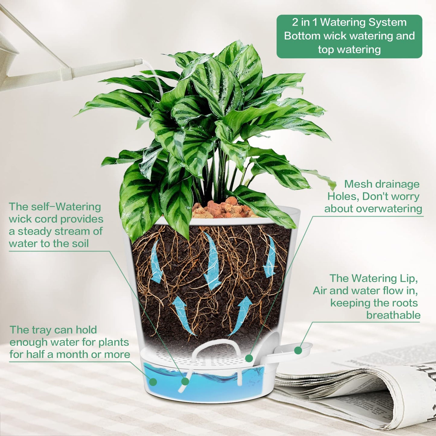 Warmplus Macetas de Riego Automático para Interior, 20/17.5/16.5/15/14/12.5cm Macetas de Plástico con Agujeros de Drenaje Plato y Depósito, Macetas de Interior para Todas Las Plantas de Casa, Blanco
