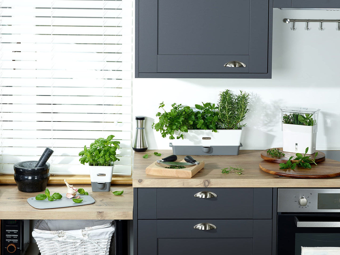 Cole & Mason H105349 Burwell Conservador para Hierbas Aromaticas en Macetas, Blanco/Gris, Cultivo de Plantas Hierbas de Interior, Acero Inoxidable, Triple, para 3 macetas