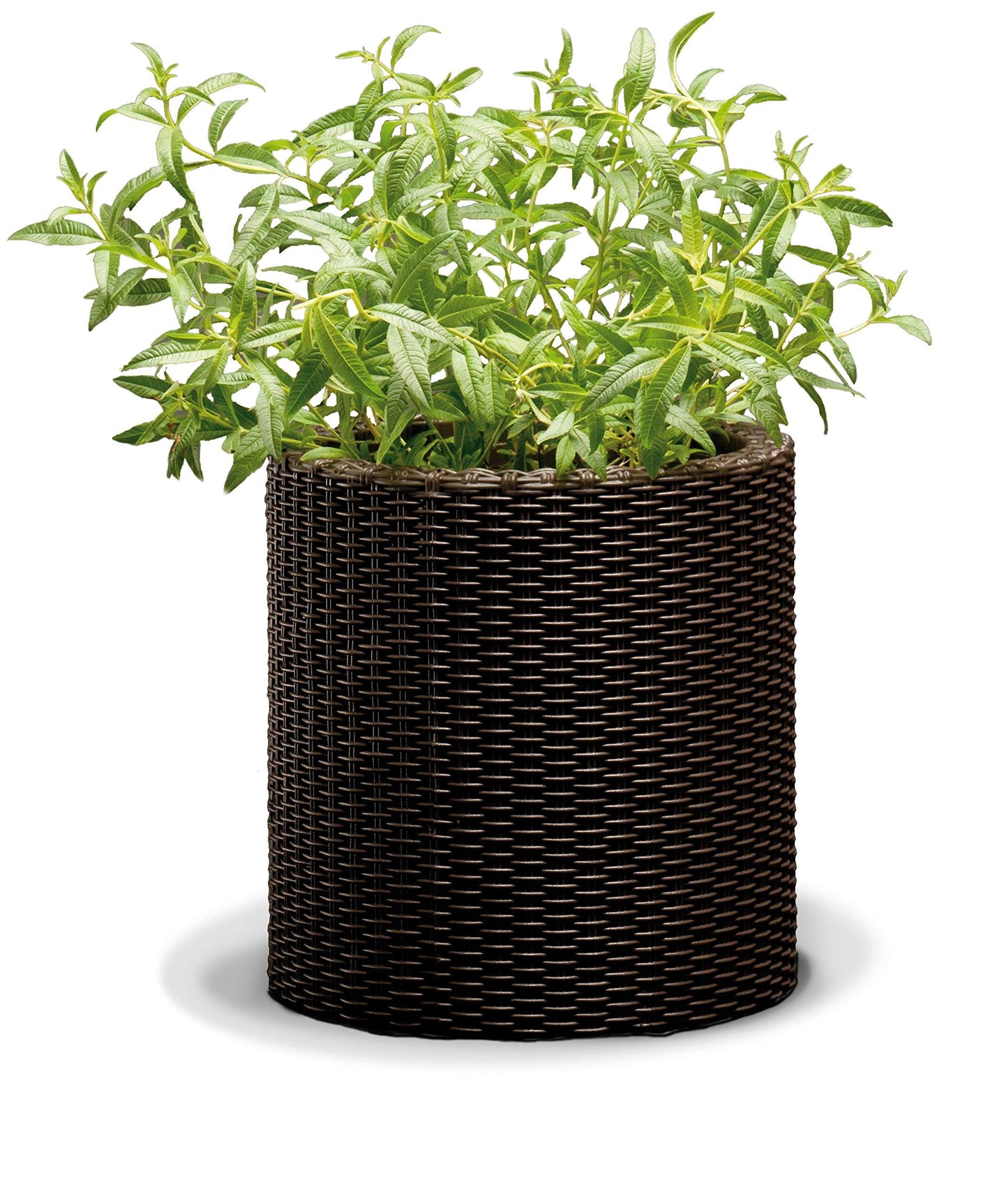 KETER - Maceta Mediana de Base Redonda, 18 litros, Color marrón Chocolate + Flower Universal Premium Substrato, 10L, Marrón, 29x6x46 cm