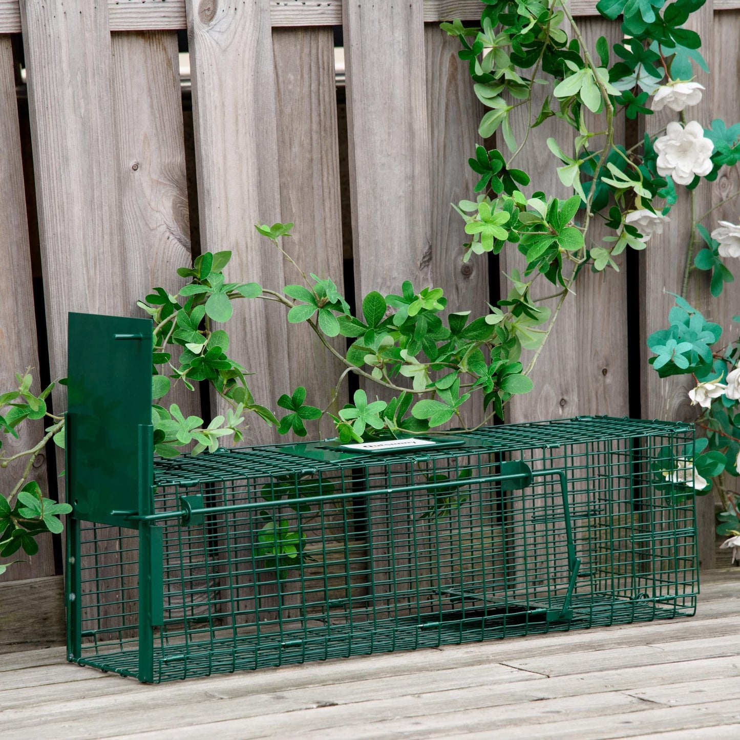 Outsunny Trampa para Animales Vivos con Puerta Jaula de Captura Metálica con Asa para Conejos Visones Pequeños 60x18x20 cm Verde Oscuro