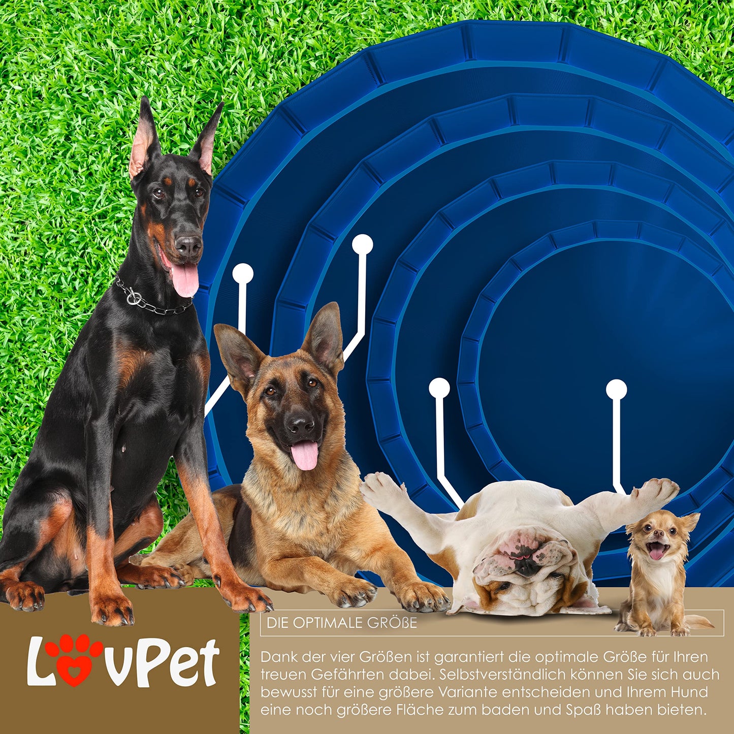 Lovpet® Piscina Plegable para Perros Grandes y pequeños, Incluye Juguete para Perros, Piscinas Plegables para niños y Perros, bañera para Perros, Azul Claro/Azul Marino (L) 120 cm Ø